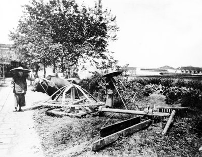 Irrigation à traction bovine, Chine, vers 1870-80 - European Photographer